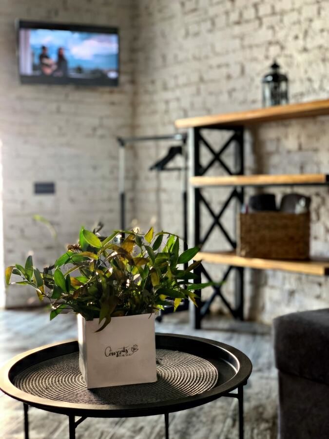 Апартаменты Luxury_loft Каменец-Подольский-11